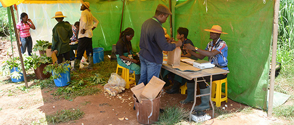 IITA Bioinformatics Project Planning