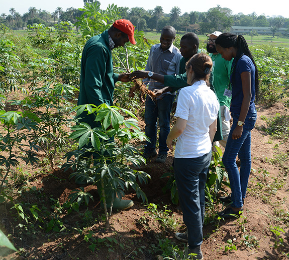 IITA Bioinformatics transcriptomics