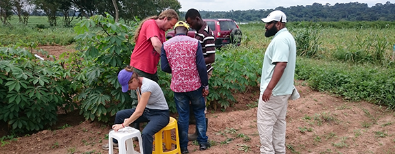 IITA Bioinformatics transcriptomics-field-activities