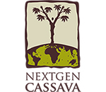 nextgencassava logo